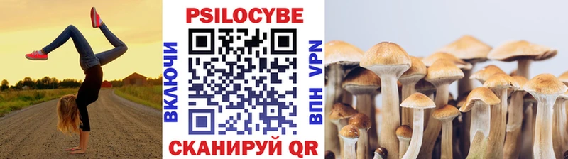 где купить наркотик  Нерюнгри  Псилоцибиновые грибы Cubensis 